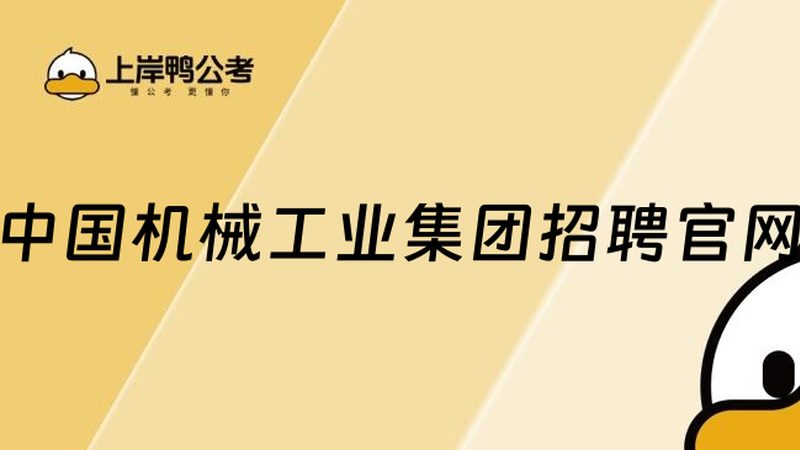 重型传送带：批发报价背后的技术考量